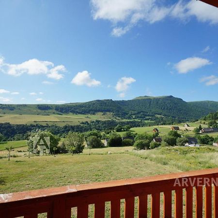 Chalet De Solene Chambon-sur-Lac Bagian luar foto